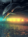 pic for Moonlight Dolphin